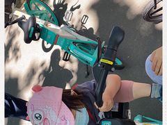 -长白岛森林公园