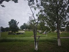 -白鹭湾湿地公园