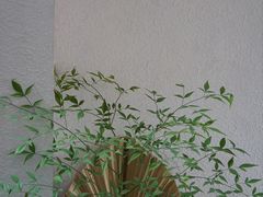 -漫笙舍Manse·咖啡·民宿