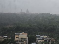 -成都保利公园皇冠假日酒店(熊猫基地店)