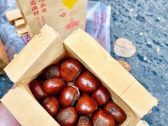 -高记桂花糖炒栗(鼓楼店)