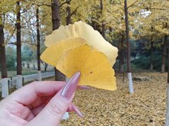 -石家庄市动物园