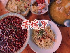 -青城甲(青城山店)