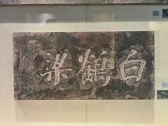 -白鹤梁水下博物馆