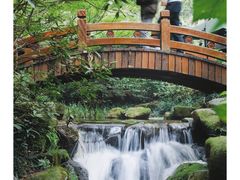 -中国茶叶博物馆(双峰馆区)