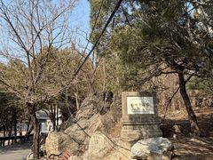 -白水寺森林公园