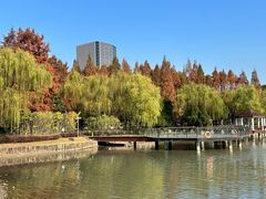 -新虹桥中心花园