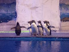 -华夏文旅西安度假区