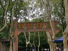 -灵谷景区