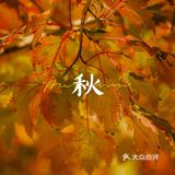 杭州的秋日‖天目里的最美红枫
