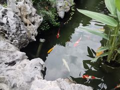 -香雪海饭店中餐厅(人民桥店)