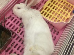 -雨林宠物医院 非犬猫异宠专科