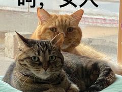 -LOEWE罗意威(北京SKP女装店(一层))