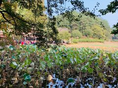 -韶山毛泽东同志故居