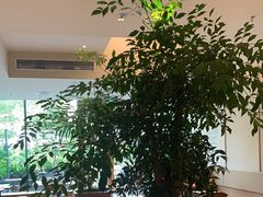 -Peet's 皮爷咖啡(海雅缤纷城店)