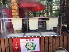 -大鹅岛绿色生态美食园