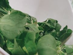 -番食园鲜食火锅(高新店)