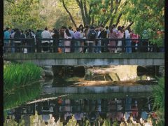 -上海共青森林公园