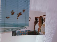 -农院路3号夜市