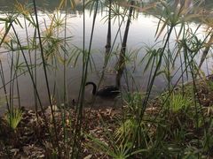 东部华侨城茵特拉根酒店-深圳东部华侨城茵特拉根酒店