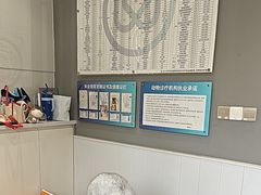 -关爱宠物医院·猫科中心·消化科(滨湖万达分院)