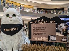 -宝龙城(杭州滨江店)