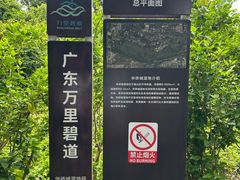 -华侨城湿地公园