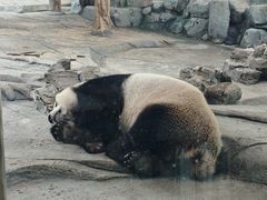 -武汉动物园