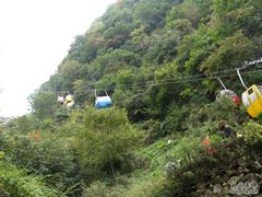 -王顺山国家森林公园