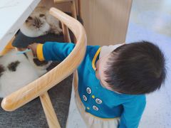 -喵园·猫主题咖啡厅·撸猫·猫咖(国贸店)