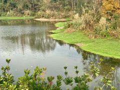 -桤木河湿地公园