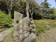 -上海滨江森林公园