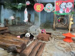 -海南热带野生动植物园