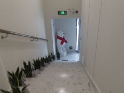 -海涛医疗美容·面部抗衰·注射美鼻