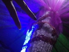 -水晶之星洗浴温泉汗蒸