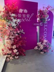 点击看大图 -石家庄苏亚美联臣医疗美容医院