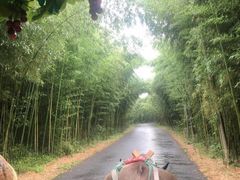 -杭州双溪漂流景区