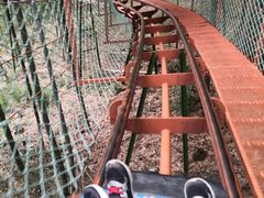 -藏龙百瀑风景区