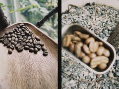-Cupping Room(Harbour City)