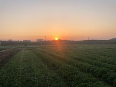 -光明小镇欢乐田园