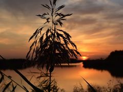 -天津东丽湖风景区