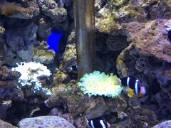 -海合安武汉极地海洋公园