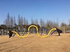 -上海长兴岛郊野公园