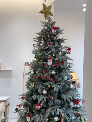 -盼兮·日式美睫沙龙