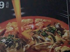 -农家大院
