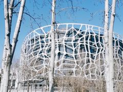 -首都医科大学附属北京天坛医院