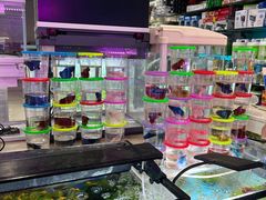 -双季花艺园艺市场(浦东店)