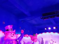 景点-芜湖新华联大白鲸海洋公园