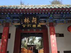 -关林