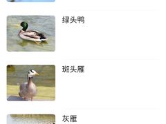 -哈尔滨北方森林动物园